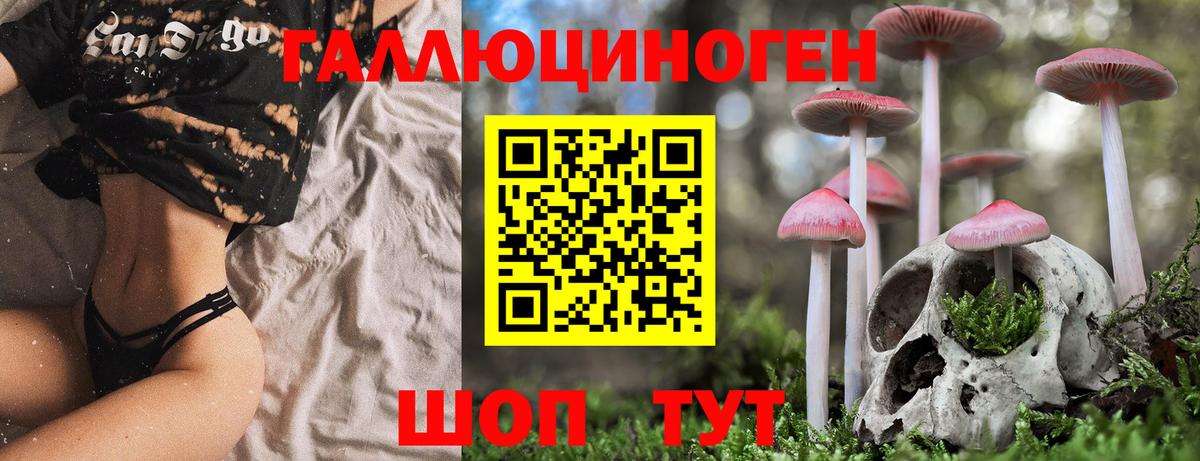 Псилоцибиновые грибы Magic Shrooms Чистополь