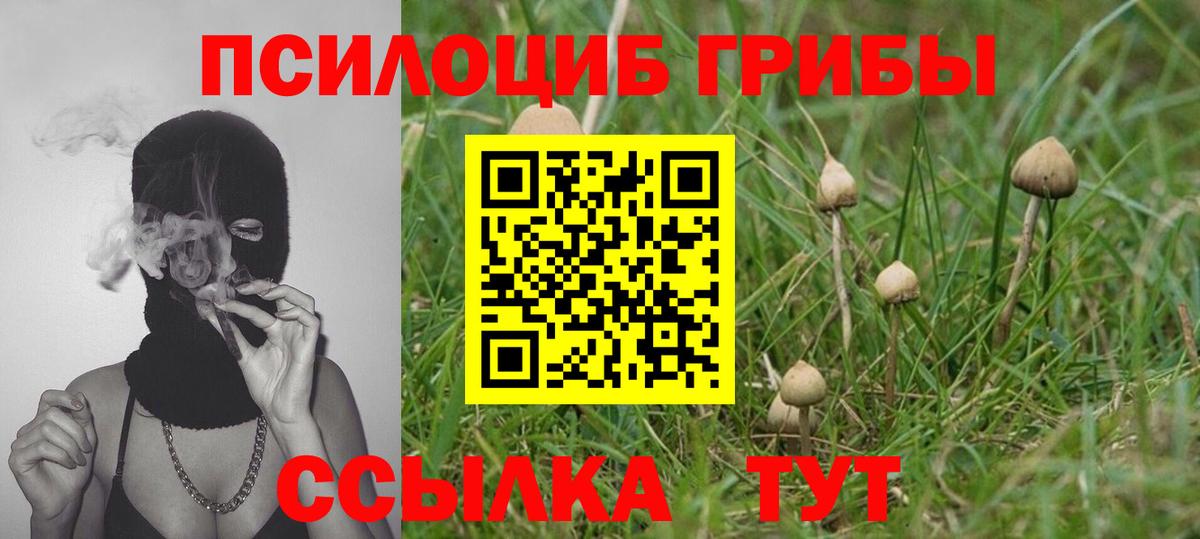 Чистополь  Галлюциногенные грибы мицелий  где можно купить   Вход с VPN  Псилоцибиновые грибы прущие грибы 
